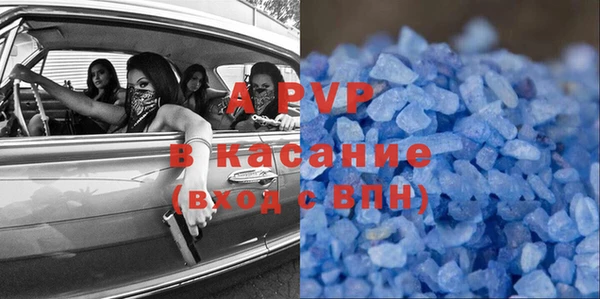 ГАЛЛЮЦИНОГЕННЫЕ ГРИБЫ Козловка